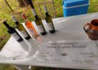 Na vinodolské hajlochy – vínna cesta 2026